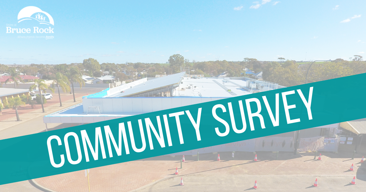 Community Survey - Supermarket Mural
